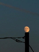 26th Sep 2023 - Electric Moon