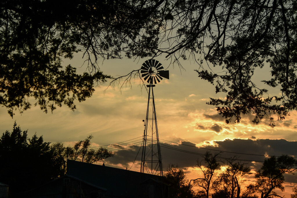 Kansas Windmill by kareenking