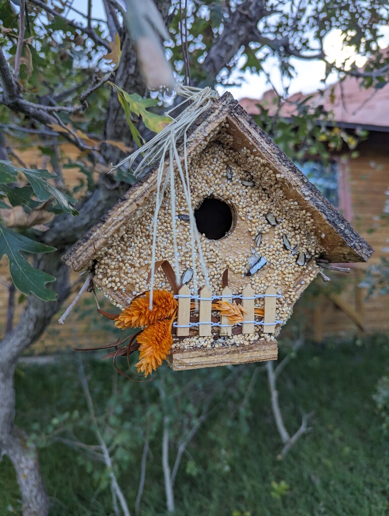 Birdhouse  by harbie