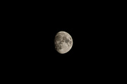26th Sep 2023 - Almost full moon