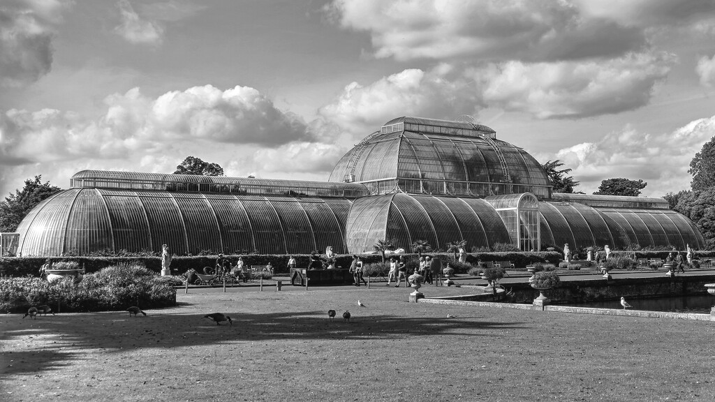 Palm House at Kew Gardens…….892 by neil_ge