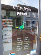 30th Aug 2023 - Little Green Pigeon