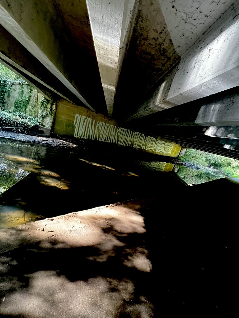 Under the bridge  by rensala