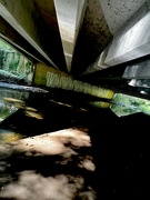 26th Sep 2023 - Under the bridge 