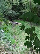27th Sep 2023 - Bridge over dry creek