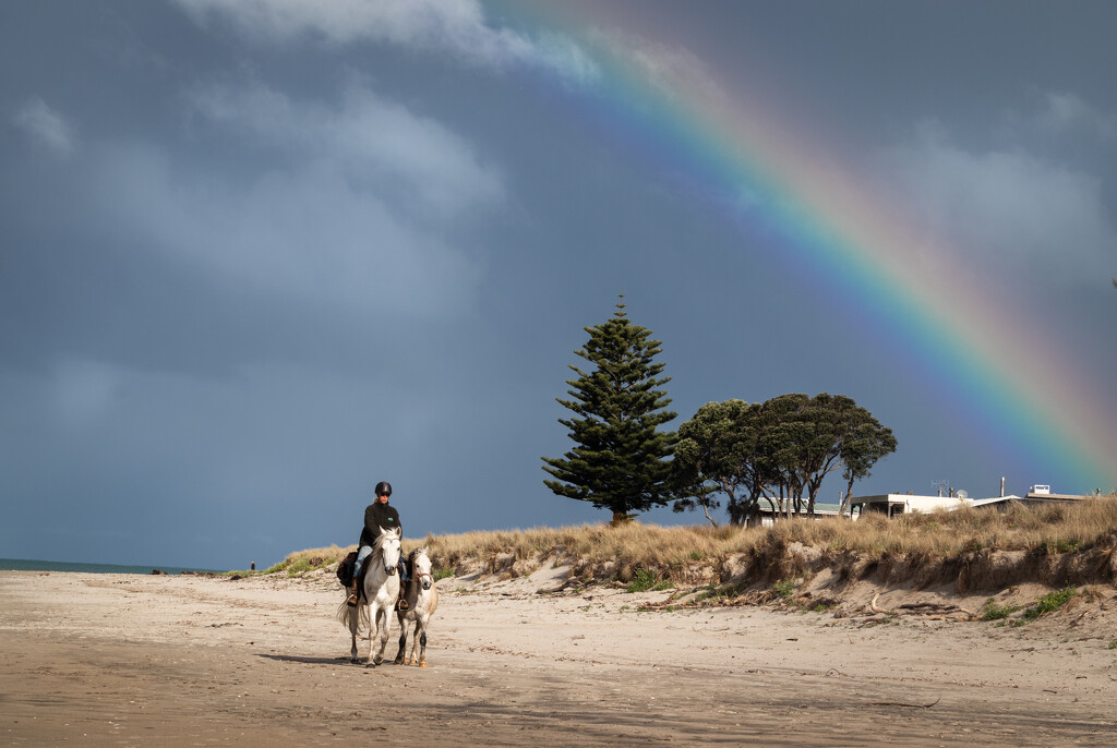 Under the rainbow by 365projectclmutlow