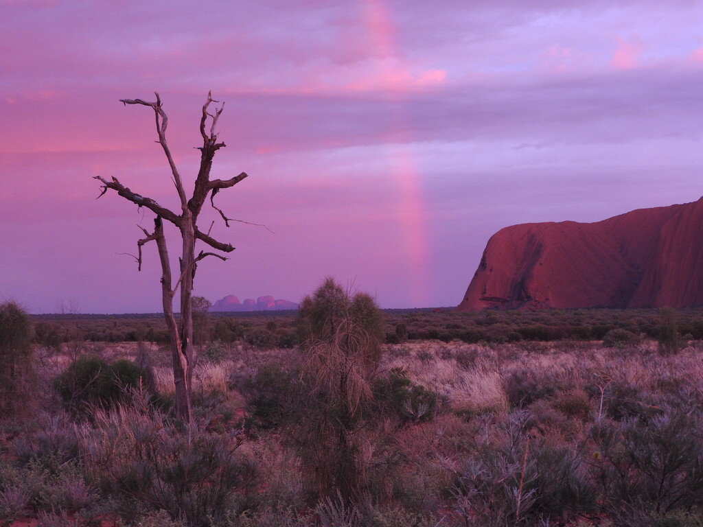 Uluru at Sunrise by elf