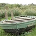 Boat Wicken Fen by foxes37
