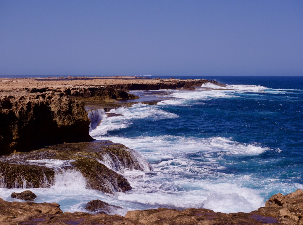 The Blowholes, Carnarvon P9275882 by merrelyn