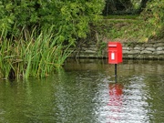 28th Sep 2023 - The Postie Will Need Their Waders