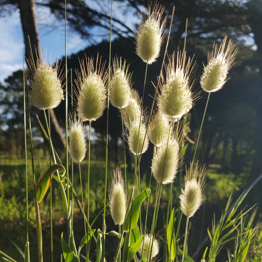 Natural arrangement by eleanor