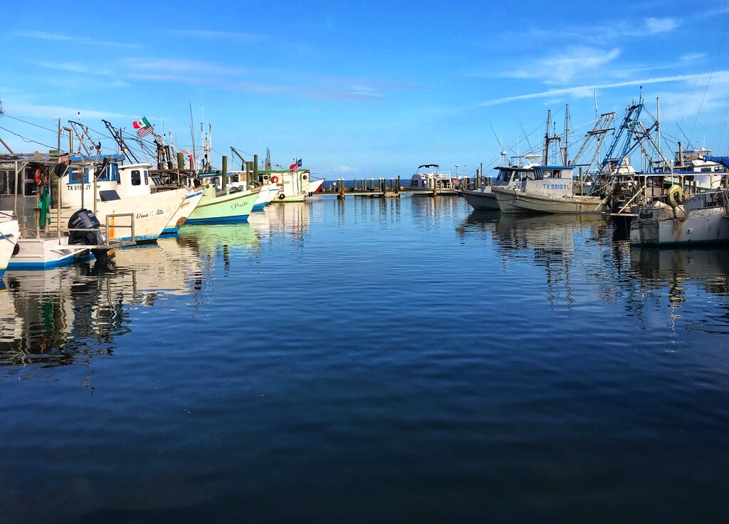 Shrimp Boats  by dkellogg