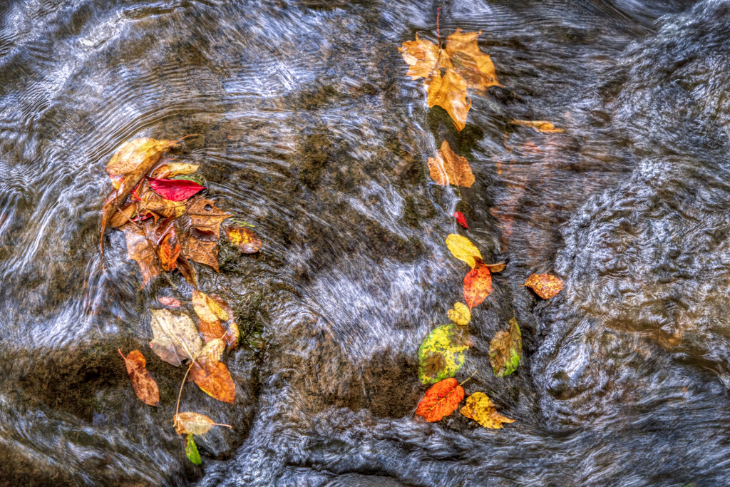 Fall Flows By by kvphoto