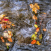 Fall Flows By