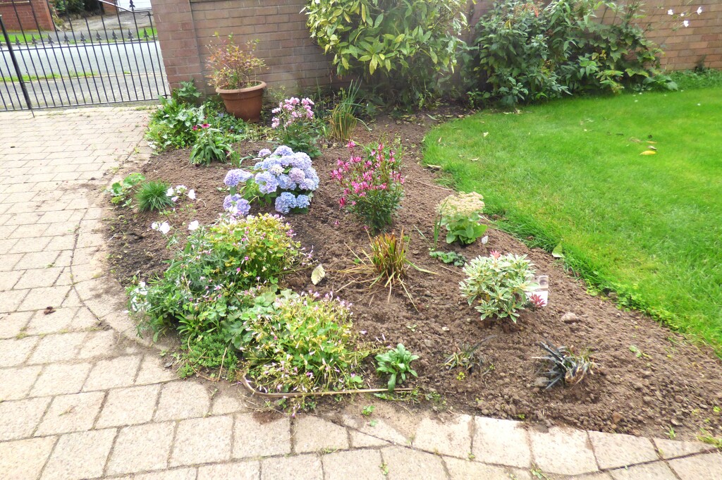 The newly planted corner.  by beryl