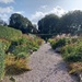 Threave Walled Garden looking autumnal 
