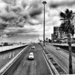 City Traffic by carole_sandford