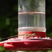 A different kind of hummingbird... by marlboromaam
