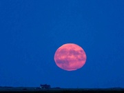 29th Sep 2023 - Full Moon.