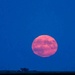 Full Moon.