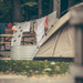 Camping by jackies365