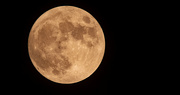 29th Sep 2023 - Last Night's Moon!
