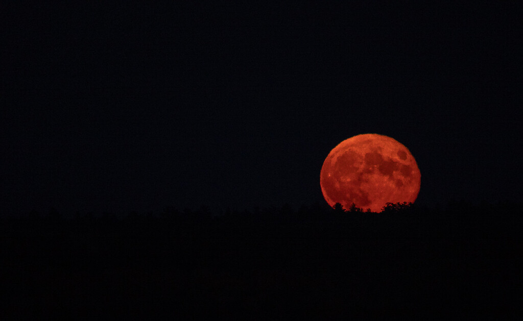 Harvest Moon Rising! by radiogirl