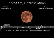 29th Sep 2023 - Shine on, Harvest Moon