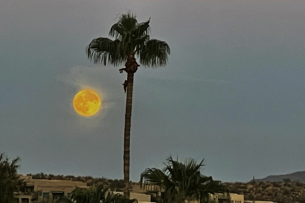 9 28 Moon rising by sandlily