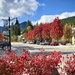 Beautiful autumn day in town by kiwichick