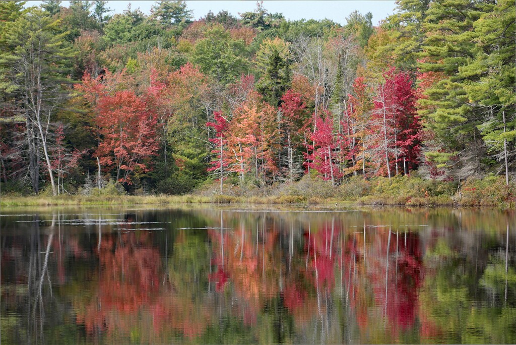 Autumn Colors Have Begun by paintdipper