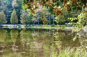 30th Sep 2023 - Fall at the Beaver Pond