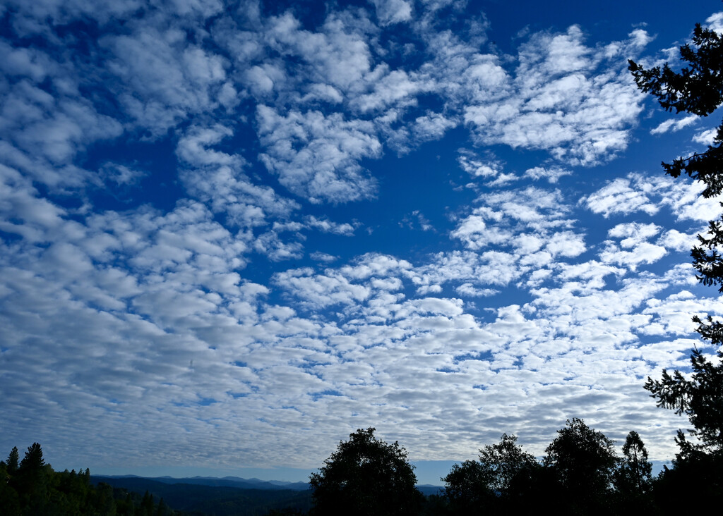 Weather Coming In by ososki