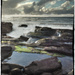 Tide Pool by 365projectorgbilllaing