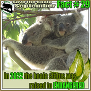29th Sep 2023 - vulnerable to endangered