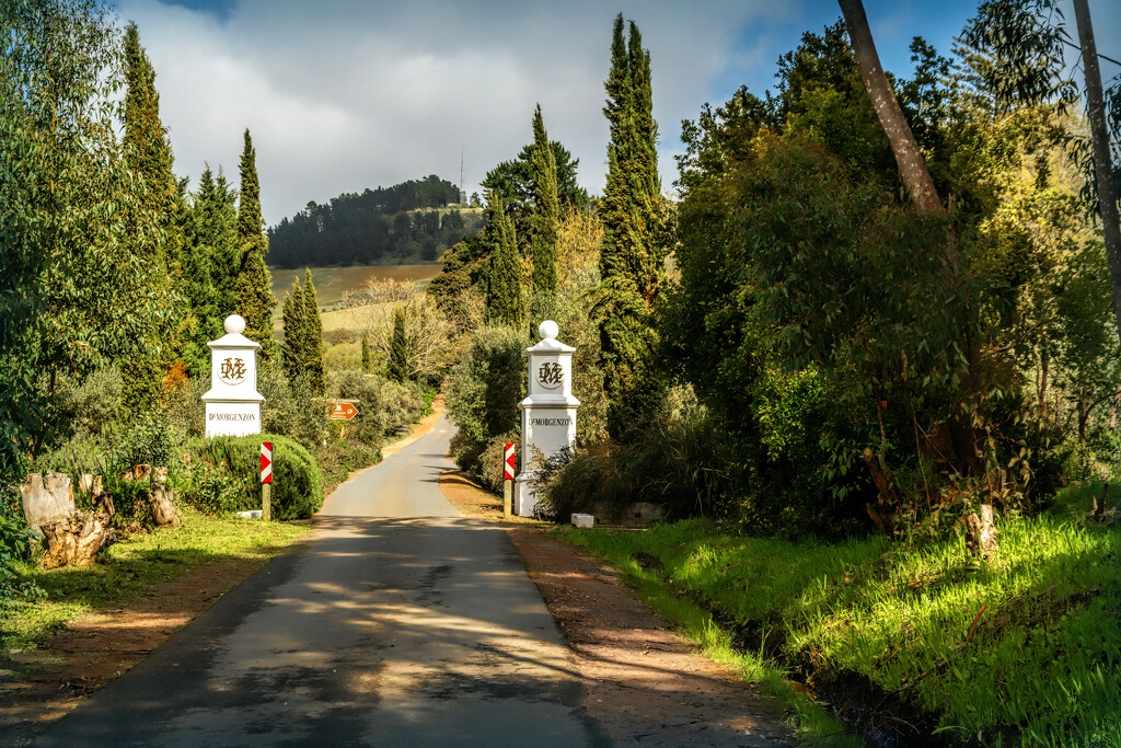 A little country road by ludwigsdiana