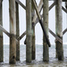 Pier piles by dkbarnett