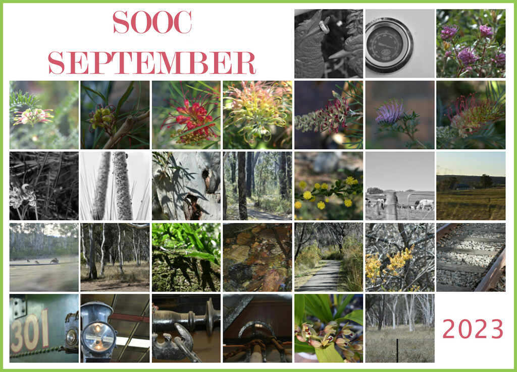 SOOC September 2023  Collage by annied