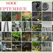 SOOC September 2023  Collage
