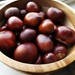 Conkers 