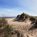 Prince Edward Island Dunes
