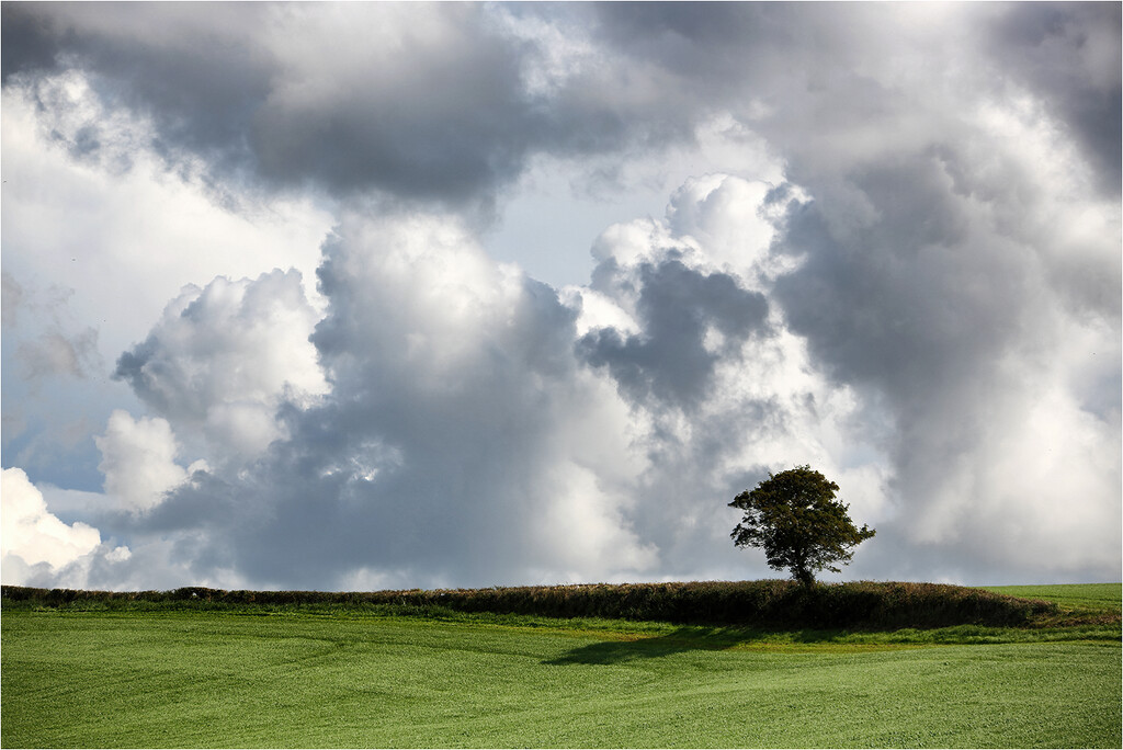 Lone tree, big sky by bournesnapper