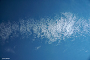 1st Oct 2023 - Slinky cloud