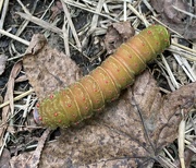 30th Sep 2023 - today’s nature walk