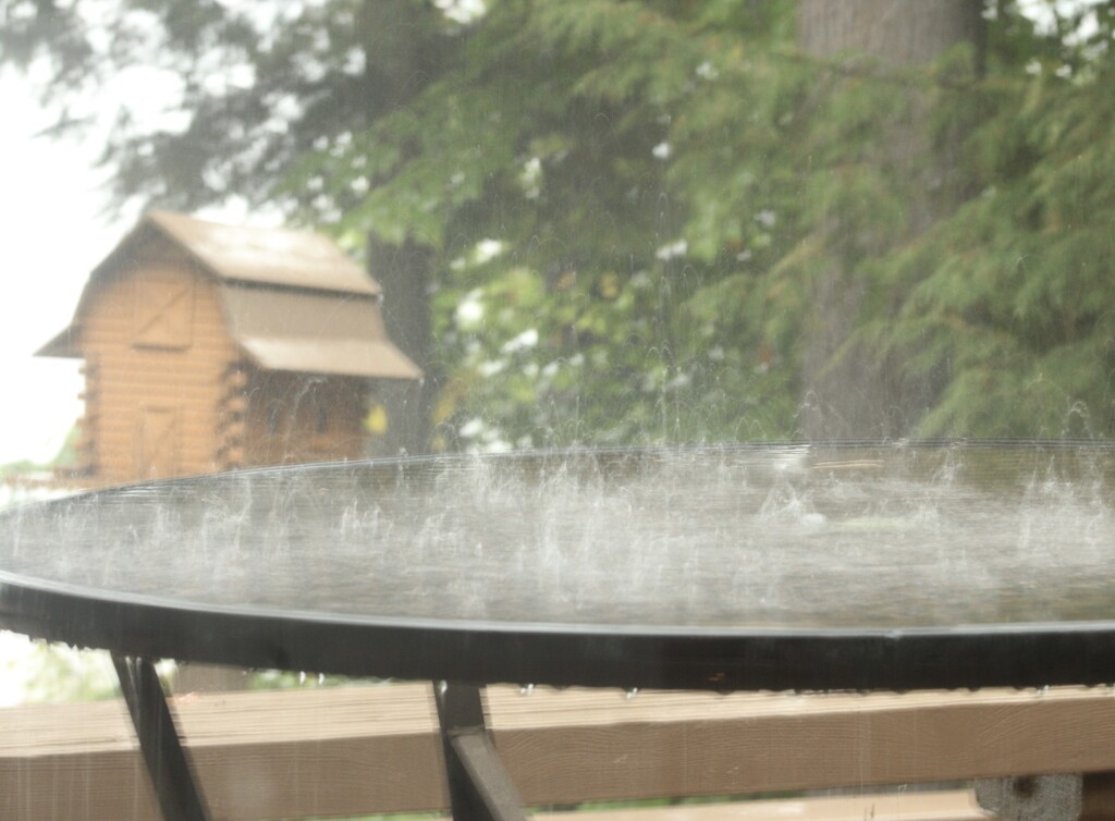 Watching the rain from indoors by mltrotter