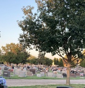 1st Oct 2023 - Greenwood Cemetery Walk