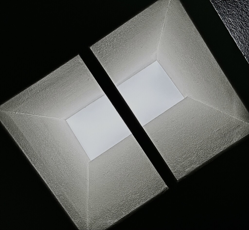 Skylight by 365projectorgbilllaing