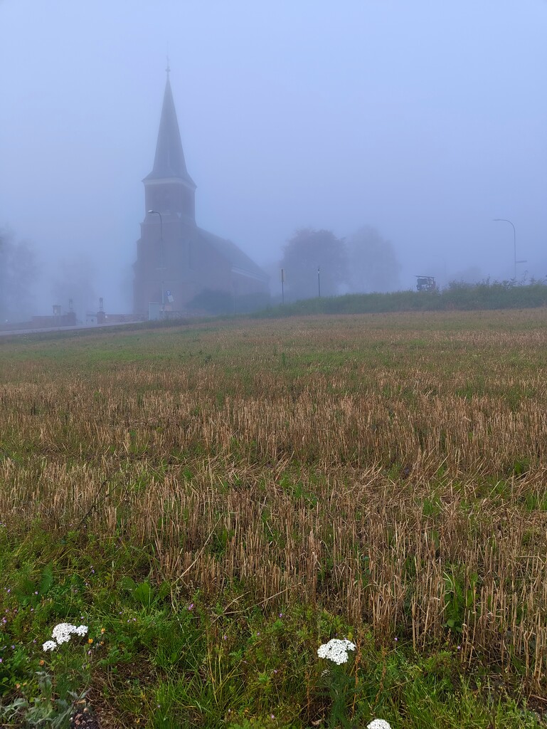 Misty morning  by okvalle