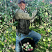 ~Apple Picking~ by crowfan