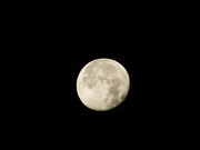 1st Oct 2023 - Full Moon
